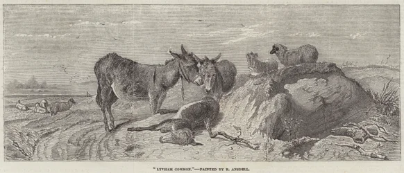 Lytham Common